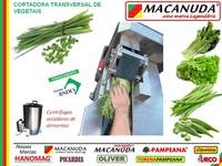 CORTADOR INDUSTRIAL DE CEBOLA VERDE MACANUDA CORTADOR INDUSTRIAL DE CEBOLA VERDE MACANUDA