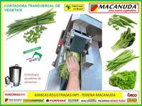 MÁQUINA INDUSTRIAL PRA CORTAR TEMPERO VERDE MACANUDA