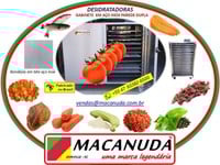 DESIDRATADORA PROFISSIONAL DE TOMATE E OUTRAS HORTALIÇAS MACANUDA