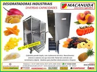 SECAR ABÓBORA, DESIDRATADORAS INDUSTRIAIS AÇO INOX MACANUDA