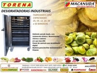 CAMBUCI DESIDRATADO, EQUIPAMENTOS INDUSTRIAIS MACANUDA CAMBUCI DESIDRATADO, EQUIPAMENTOS INDUSTRIAIS MACANUDA