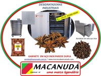 ANIS ESTRELADO DESIDRATADO, EQUIPAMENTOS INDUSTRIAIS MACANUDA ANIS ESTRELADO DESIDRATADO, EQUIPAMENTOS INDUSTRIAIS MACANUDA