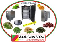 DESIDRATAR ERVAS MEDICINAIS EM BELO HORIZONTE, EQUIPAMENTOS MACANUDA