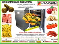 DESIDRATADOR DE ALIMENTOS PROFISSIONAL COM 12 BANDEJAS 