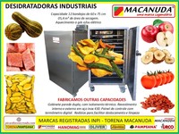 EQUIPAMENTO INDUSTRIAL PARA DESIDRATAR MORANGAS E OUTRAS HORTALIÇAS